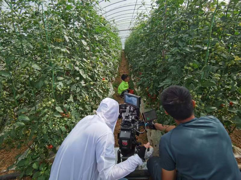 高陵县产品宣传视频拍摄公司进阶指南，助力品牌抢占传播高地